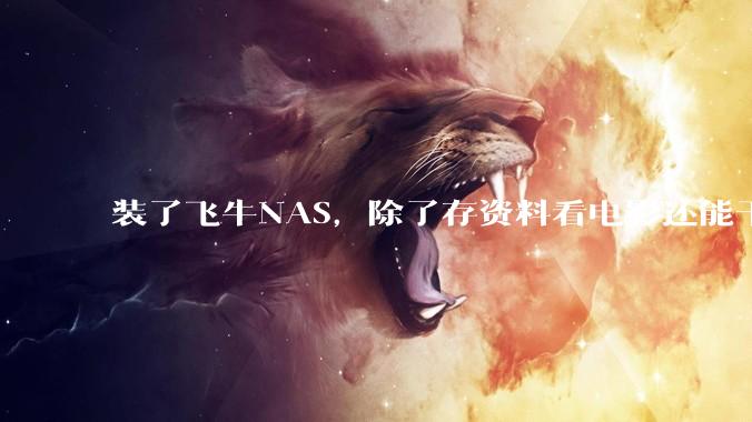 装了飞牛NAS，除了存资料看电影还能干什么？