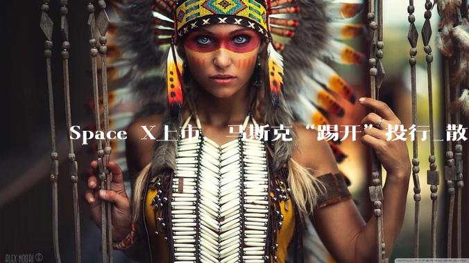 Space X上市，马斯克“踢开”投行_散户_公司_特斯拉