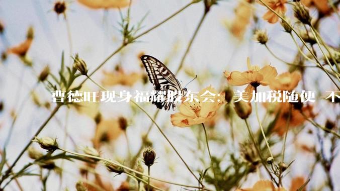 曹德旺现身福耀股东会：美加税随便 不赚钱不卖 大不了关美国厂_曹晖_董事长_全球