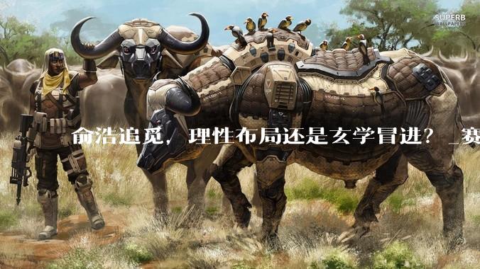 俞浩追觅，理性布局还是玄学冒进？_赛道_发展期_业务
