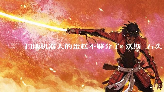 扫地机器人的蛋糕不够分了_沃斯_石头_市场